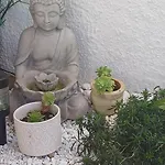 Mon Coin De Paradis *