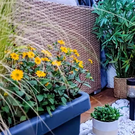 Casa vacanze Mon Coin De Paradis Saint-Jean-de-Monts