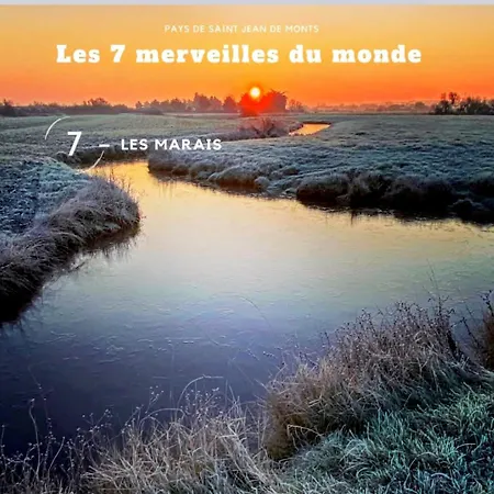 Mon Coin De Paradis