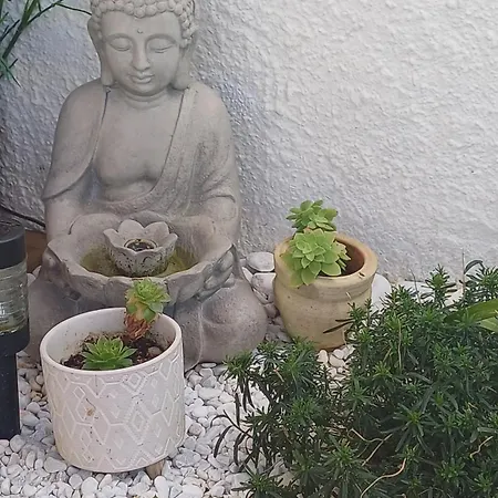 Mon Coin De Paradis *